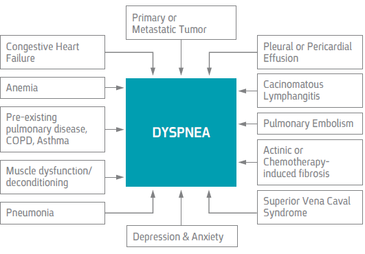 קובץ:Dyspnea1.png