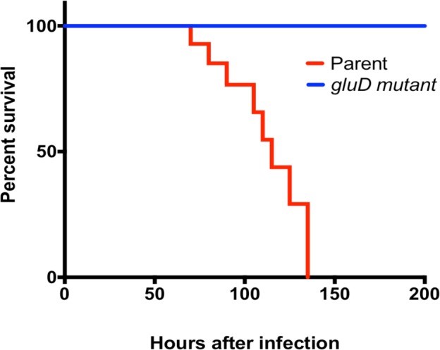 קובץ:1glutamate dehydrogenase.jpg