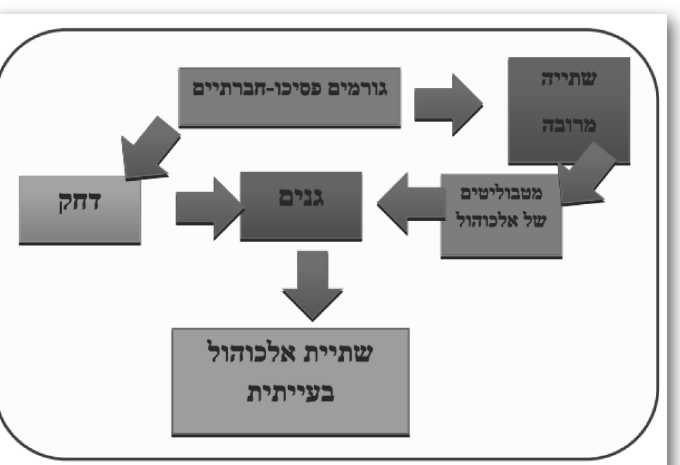קובץ:אלכוהול בעייתי.png