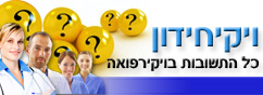 ויקיחידון-כותרת.jpg