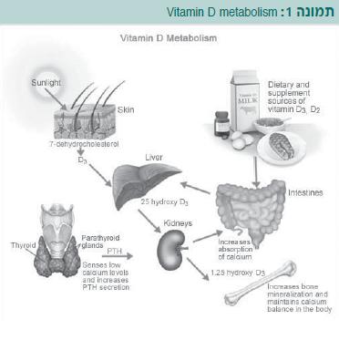 Vitamin D deficiency1.jpg