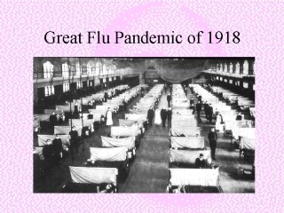 קובץ:בידוד שפעת 5.jpg