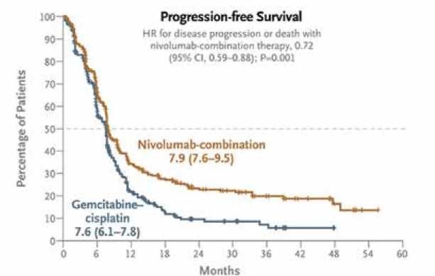 קובץ:Nivolumab plus Gemcitabine-Cisplatin3.jpg