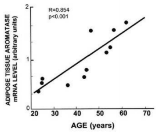 קובץ:סרטן שד 1.png