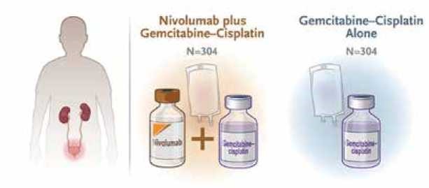 קובץ:Nivolumab plus Gemcitabine-Cisplatin 1.jpg