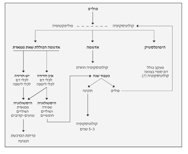 קובץ:Colorectalpolyp6.jpg
