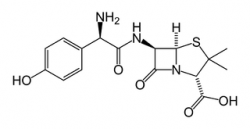 320px-Amoxicillin-2D-skeletal.png