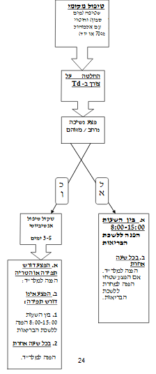 כלבת1.PNG