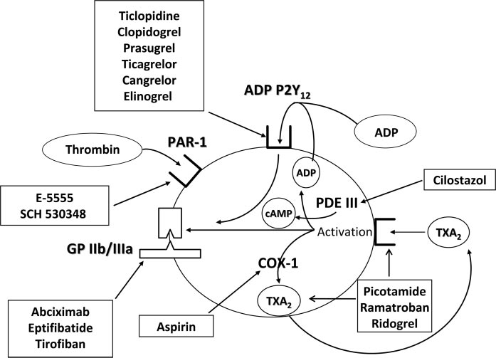 קובץ:Diabetesaspirin3.jpg