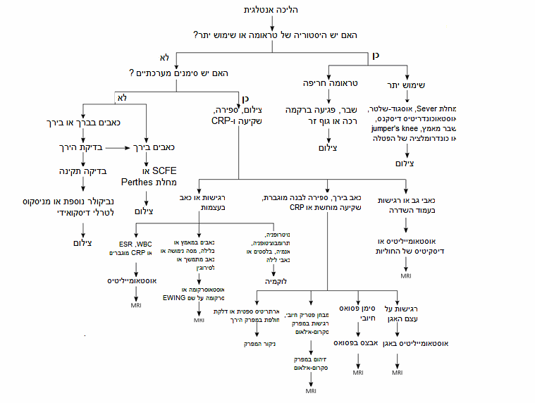 תרשים מדהים של קרן.PNG