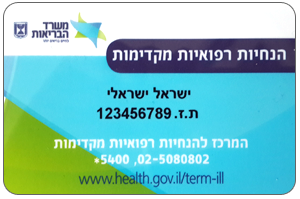 קובץ:הנחיות מקדימות.png