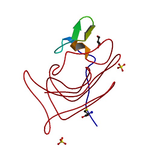 קובץ:PBB Protein F8 image.jpg