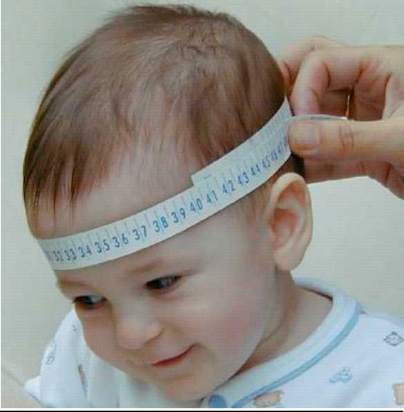 קובץ:מדידת הקף ראש.png