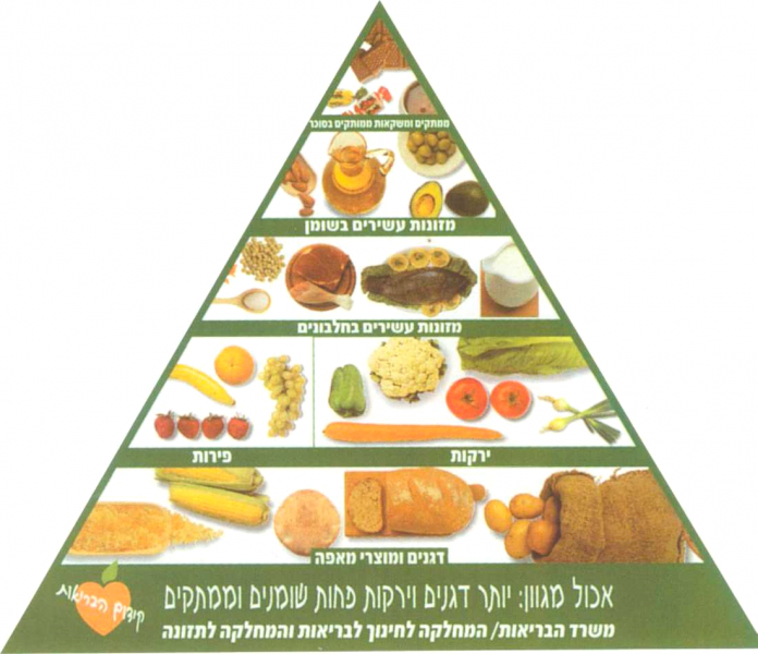 קובץ:פירמידת המזון.png