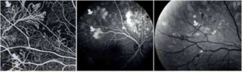 קובץ:תמונה 2.png