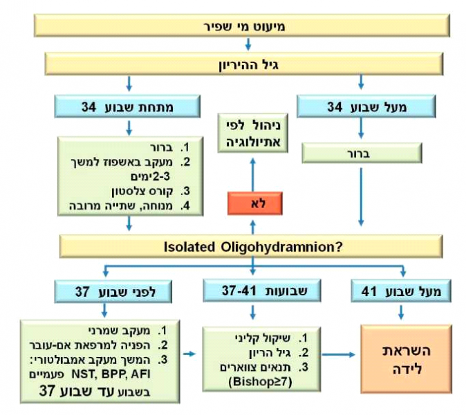 קובץ:מיעוט מי שפיר.png