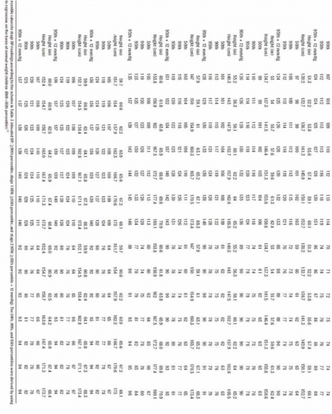קובץ:ילד ילדים 10.jpg