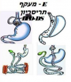 תמונה ממוזערת לגרסה מ־11:56, 24 באפריל 2011