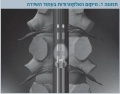 תמונה ממוזערת לגרסה מ־16:23, 22 בספטמבר 2012