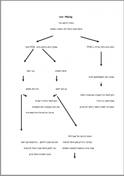 קובץ:HBsAg 1.PNG