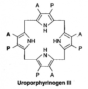 פורפירינים2.jpg