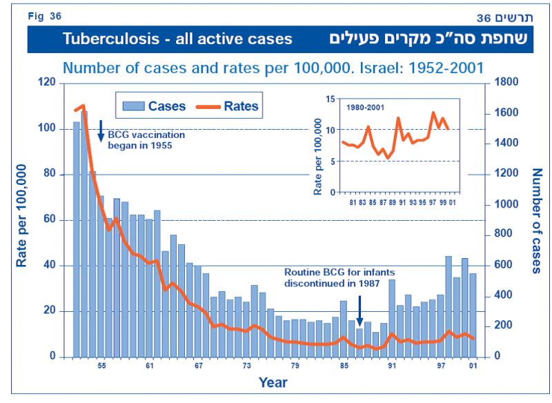 קובץ:שחפת 7.png