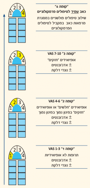 קובץ:NeuropathicPain1.png