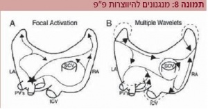 צריבה8.JPG