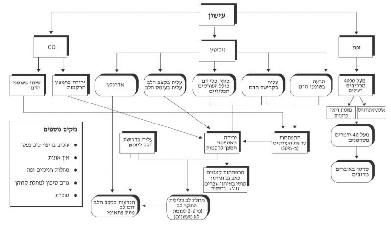 קובץ:עישון 119.png