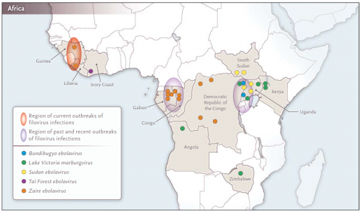 מפה אבולה.png