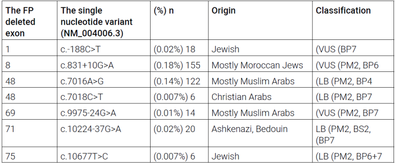 קובץ:DMD-2.png