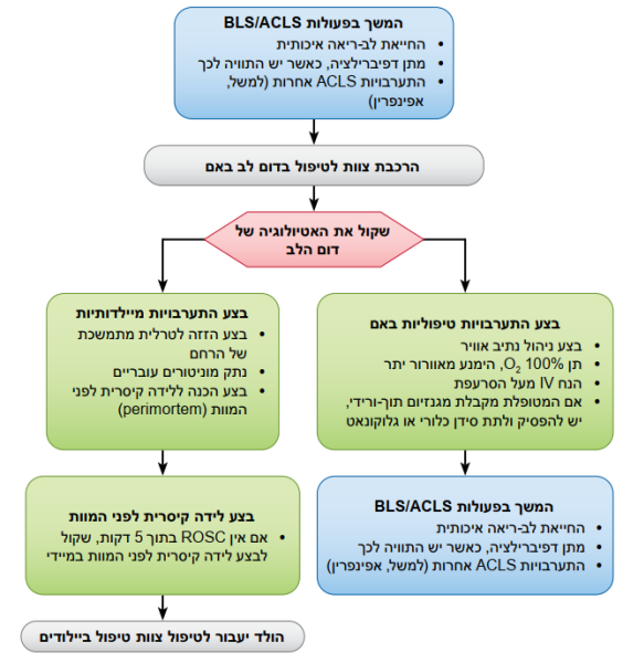 קובץ:AHA18.png