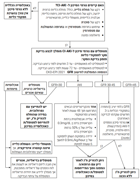 קובץ:חומר ניגוד כליות 1.png