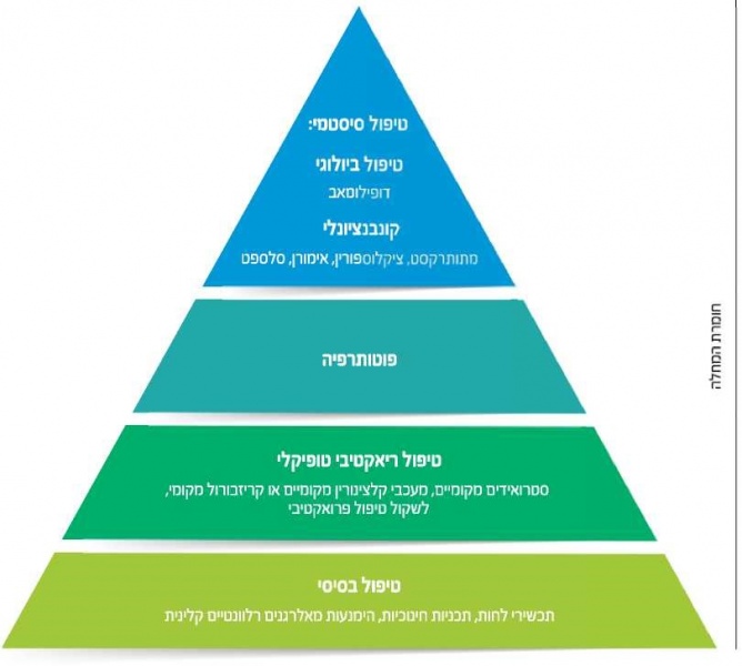 קובץ:סולם אטופי.jpg