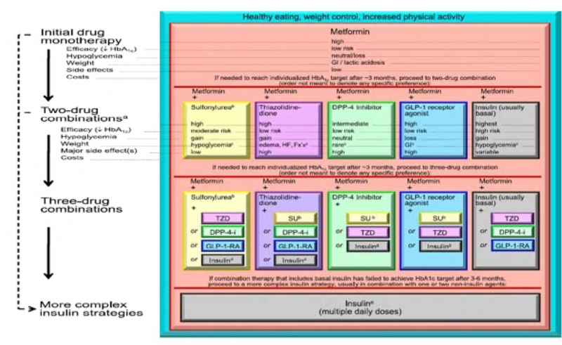קובץ:אלגוריתם טיפולי5.jpg