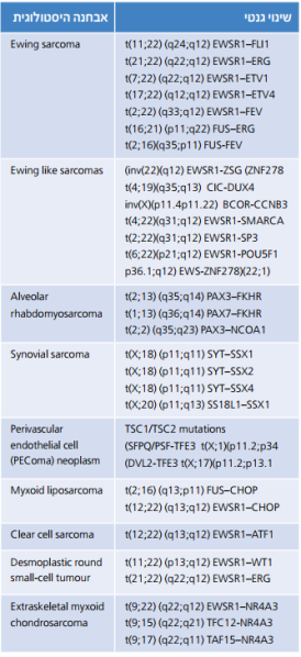 קובץ:היסטולוגית 1.png