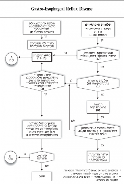 קובץ:החזר ושטי 3.PNG