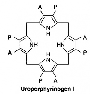 פורפירינים3.jpg