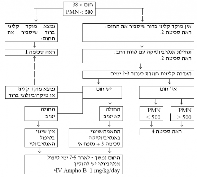 קובץ:פנקס11.png