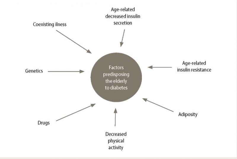 קובץ:סוכרת גיל3.png