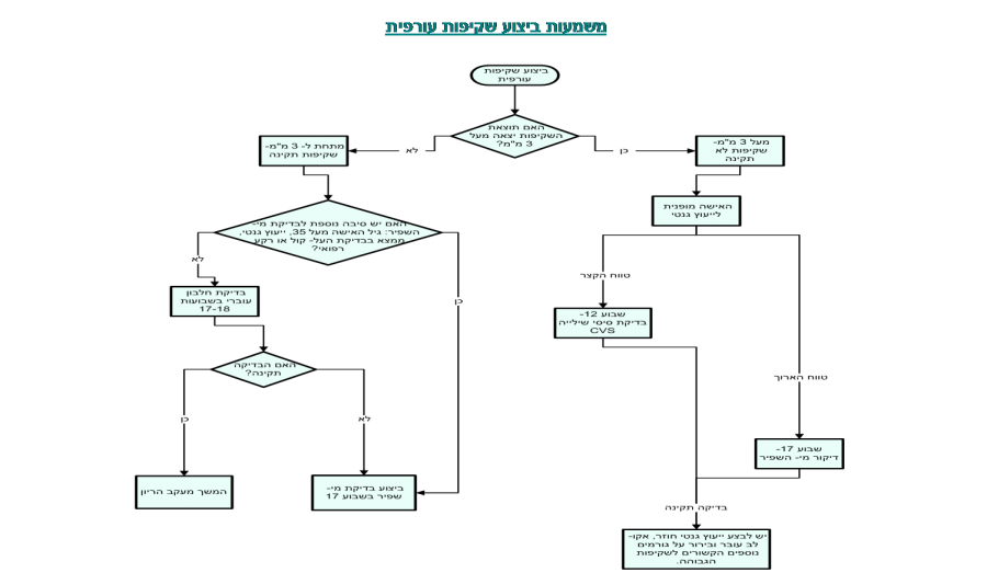 משמעות ביצוע שקיפות עורפית תרשים זרימה.png