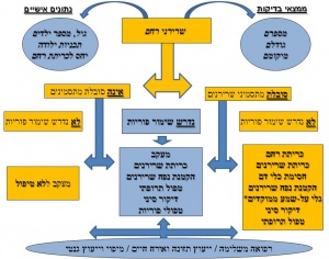 תרשים מספר 6: תרשים זרימה לקבלת ההחלטה הטיפולית בנשים עם שרירני רחם