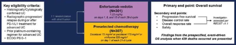 קובץ:Enfortumab 4.jpg