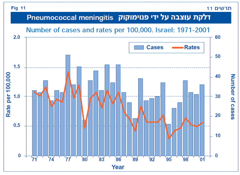קובץ:פנאומוקוק 3.png