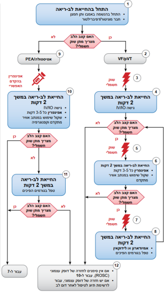קובץ:AHA19.png