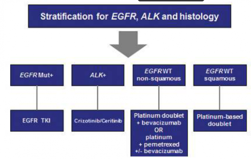 קובץ:טיפול בסרטן ריאה.png