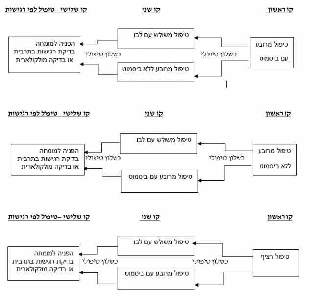קובץ:אלגורתם הפ.png