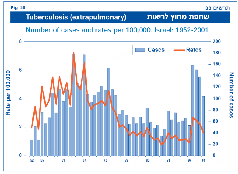 קובץ:שחפת 9.png