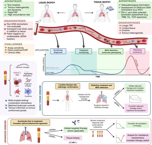 Circulating free DNA 3.png
