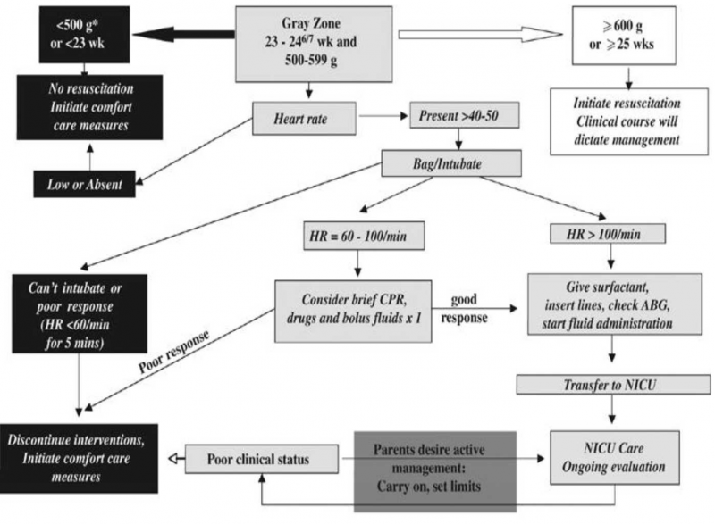 קובץ:Infant viability.png